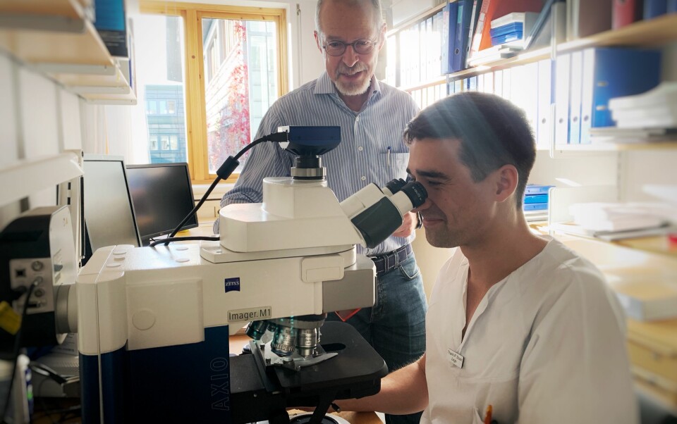 Thanh Pierre Doan (at the microscope) found that the model of his supervisor Menno Witter (standing behind the microscope) was wrong. (Photo: Kavli Institute for Systems Neuroscience)