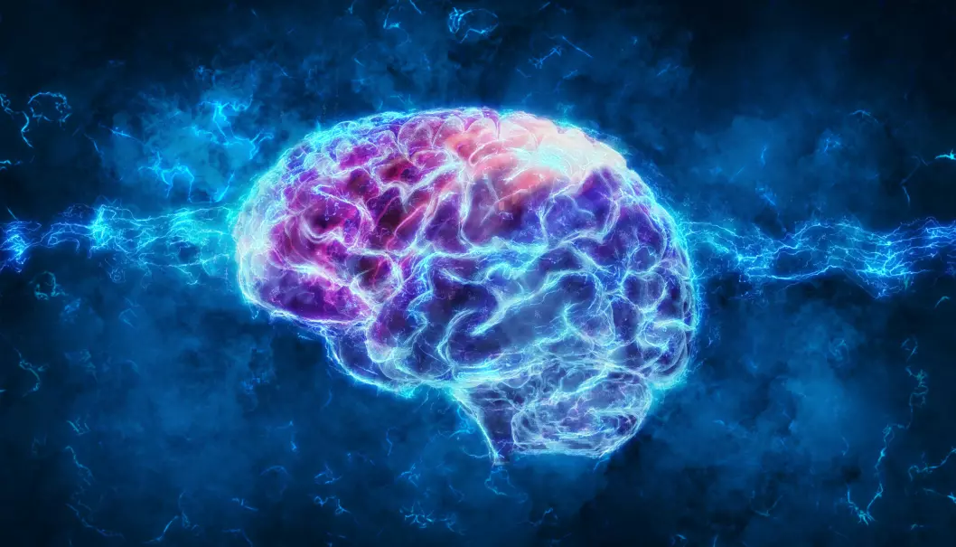 Some parts of the brain shrink in individuals with depression. Electroconvulsive therapy increases brain volume, not only in these parts, but more broadly as well. (Photo: Andrus Ciprian / Shutterstock / NTB scanpix)