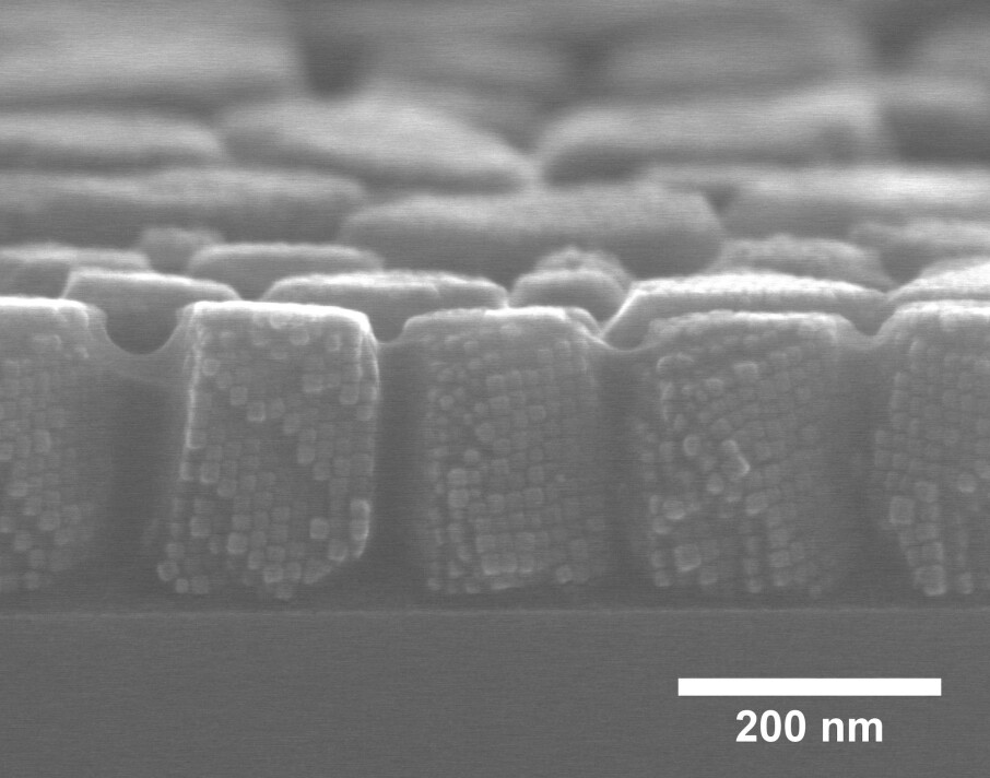 This scanning electron microscopy image clearly shows the 12 nm nanocubes assembled into supercrystals. (Photo: Verner Håkonsen/NTNU)