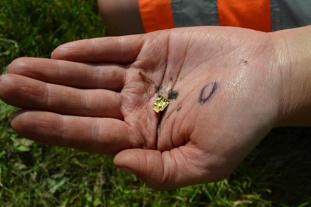The hand of an archaeologist holding one of the two gold foil figures found in Åker in Hamar in 2016. They were found in the soil, slightly apart from each other. (Photo: Tone Bergland, Kulturhistorisk museum) The hand of an archaeologist holding one of the two gold foil figures found in Åker in Hamar in 2016. They were found in the soil, slightly apart from each other. (Photo: Tone Bergland, Kulturhistorisk museum)
