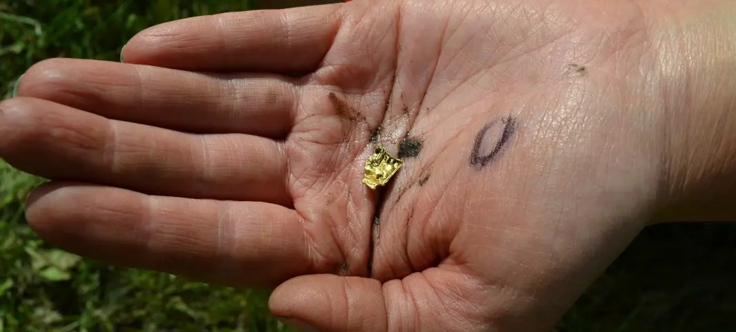 The mystery from pre-Viking days: Only the most powerful had these little pieces of gold
