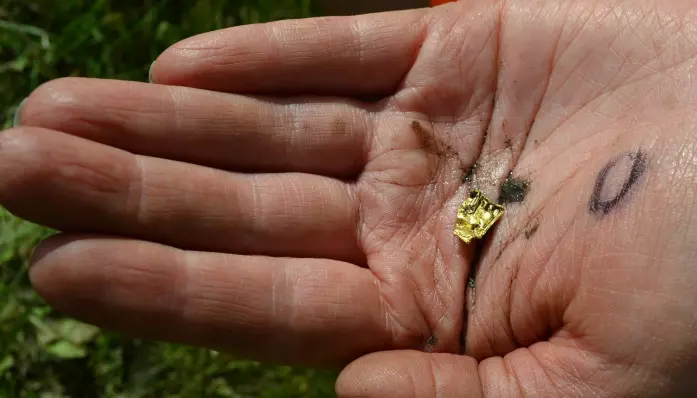 The mystery from pre-Viking days: Only the most powerful had these little pieces of gold