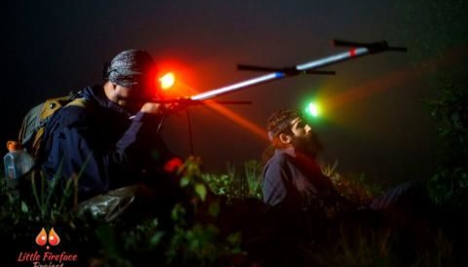 The slow lorises wore collars with radio transmitters, but the researchers still had a hard time finding them in the darkness of the Javanese jungle at night. (Picture: Wawan Tarniwan, Oxford Brookes University)