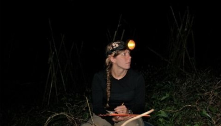 Kathleen D. Reinhardt had to go against her diurnal lifestyle and monophasic circadian rhythm, while doing fieldwork in Java. (Photo: Private / Oxford Brookes University.) Kathleen D. Reinhardt had to go against her diurnal lifestyle and monophasic circadian rhythm, while doing fieldwork in Java. (Photo: Private / Oxford Brookes University.)