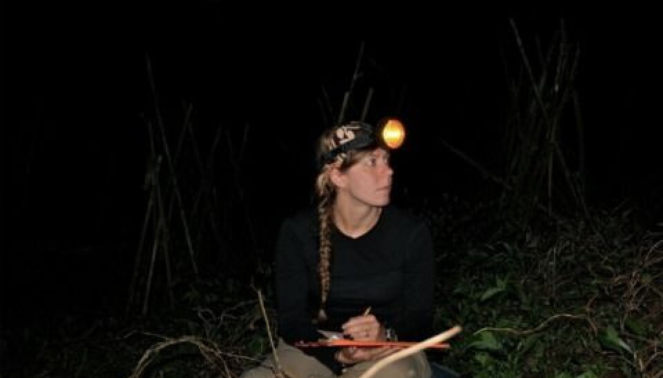 Kathleen D. Reinhardt had to go against her diurnal lifestyle and monophasic circadian rhythm, while doing fieldwork in Java. (Photo: Private / Oxford Brookes University.)