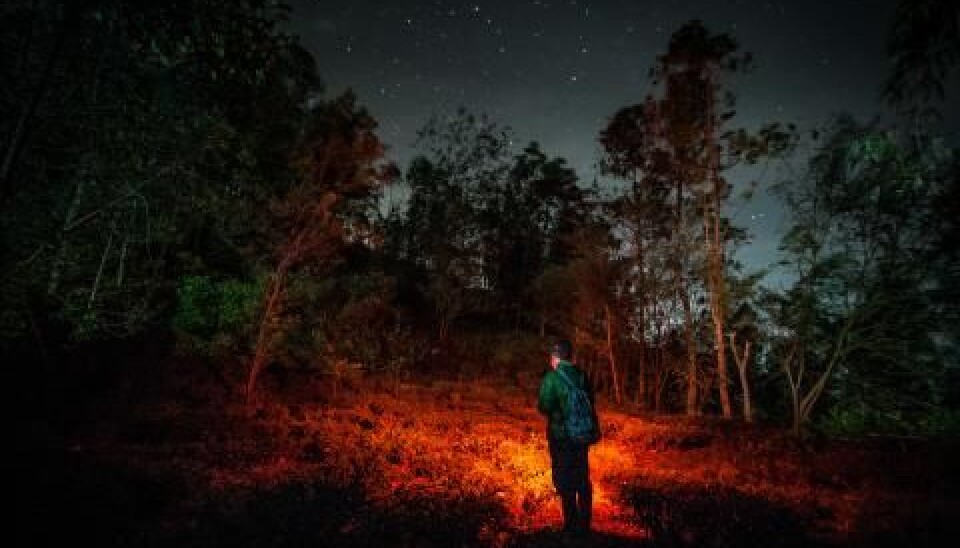 The field work was performed in an agroforest - a patchy jungle interspersed with small crop fields. (Picture: Andrew Walmsley, Oxford Brookes University)
