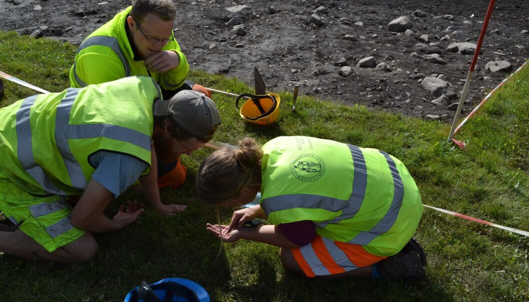 Archaeologists looking at the gold foil figures found in Åker in Hamar, 2016. (Photo: Tone Bergland, Kulturhistorisk museum, UiO) Archaeologists looking at the gold foil figures found in Åker in Hamar, 2016. (Photo: Tone Bergland, Kulturhistorisk museum, UiO)