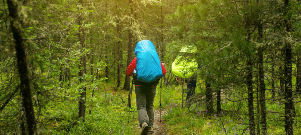 Therapy in the open air helps teenagers calm down