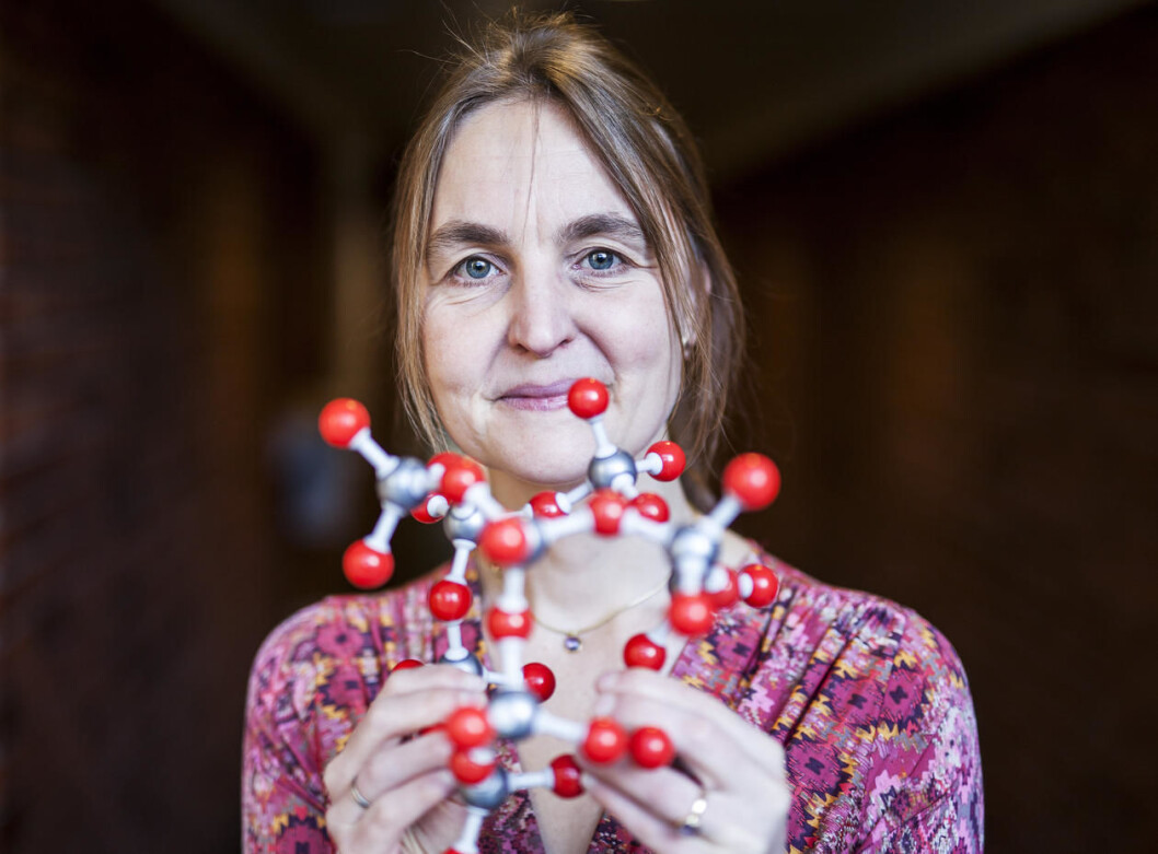"A support like this makes you committed," says Professor Bodil Holst. In 2007, she became the first researcher to recieve a Trond Mohn Foundation Recruitment Grant. (Photo: Ingvild Festervoll Melien) "A support like this makes you committed," says Professor Bodil Holst. In 2007, she became the first researcher to recieve a Trond Mohn Foundation Recruitment Grant. (Photo: Ingvild Festervoll Melien)