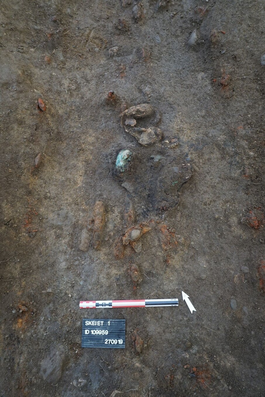 The soil in the area that was excavated was not good for preserving human remains. Archaeologists were consequently overjoyed when they found parts of the skull of the woman in the upper boat tomb. (Photo: Astrid Lorentzen, NTNU University Museum)