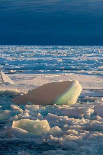 Photo: Rudi Caeyers / UiT - Nansen Legacy Photo: Rudi Caeyers / UiT - Nansen Legacy