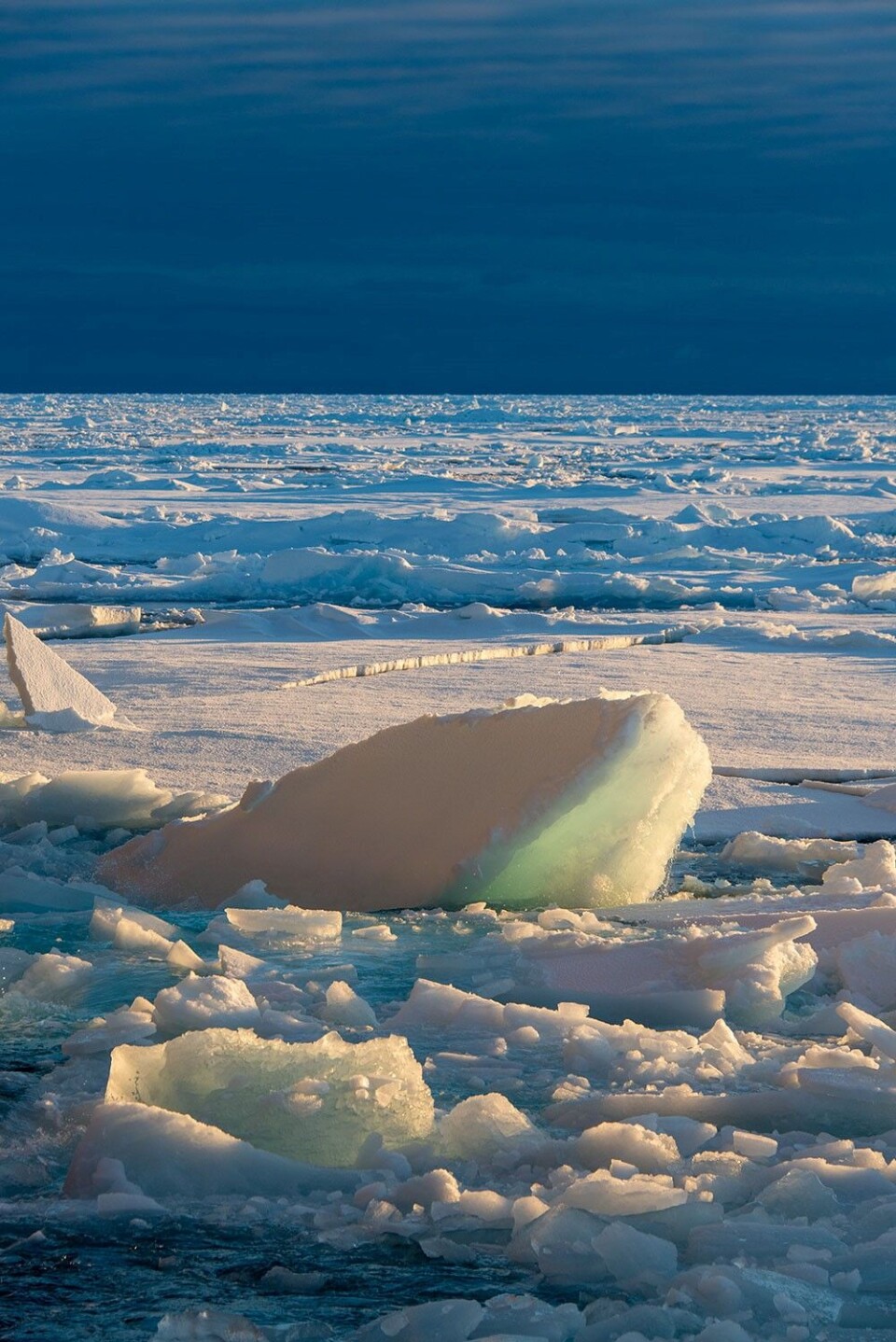 Photo: Rudi Caeyers / UiT - Nansen Legacy