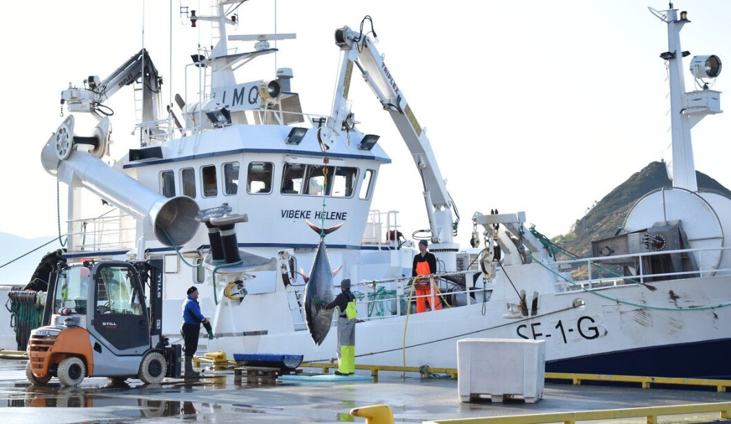 Vibeke Helene delivers its catch to the landing facility at Sandshamn. Vibeke Helene delivers its catch to the landing facility at Sandshamn.