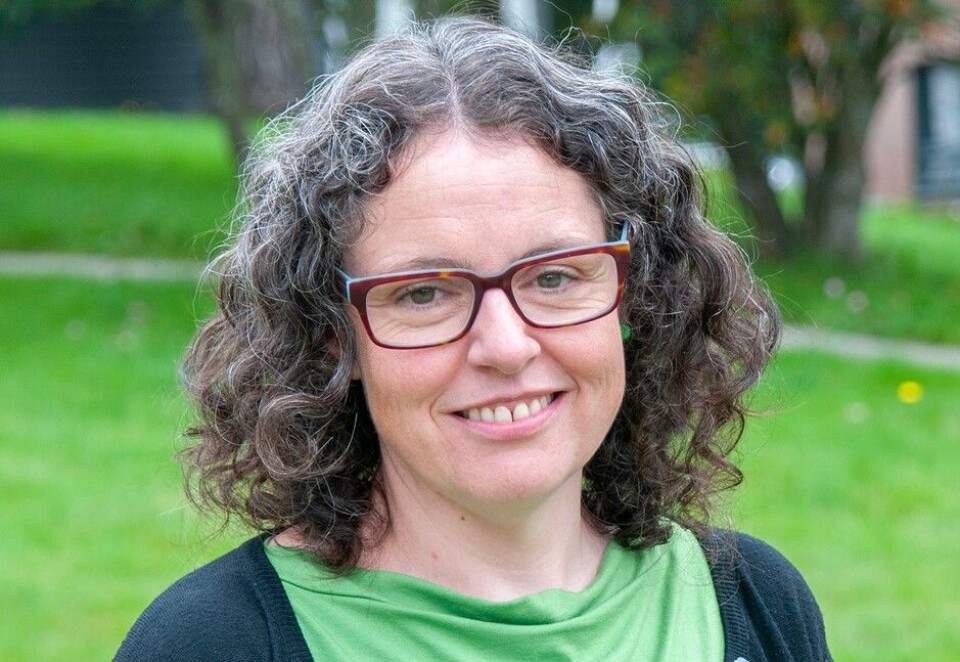 Arnhild Leer-Helgesen is associate professor at the University of Agder and has lived in Bolivia while working in international development and doing fieldwork for her master’s degree and her PhD. Her new book on religion and negotiation in religious organisations in Bolivia is based on her PhD thesis.