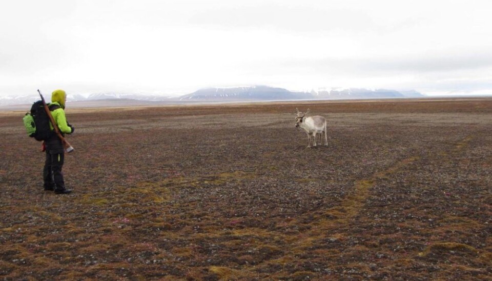 Mathilde Le Moullec and her field partner Morgan Bender spent weeks hiking and camping across Svalbard to tally reindeer.