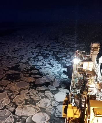 Past and current sea ice conditions influence the cruise track of RV Kronprins Haakon. Past and current sea ice conditions influence the cruise track of RV Kronprins Haakon.