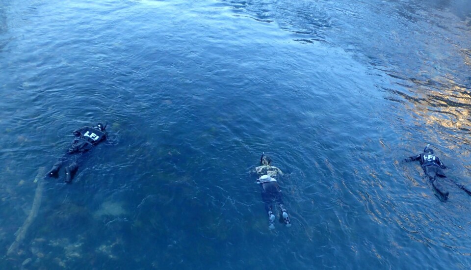 Personnel drift diving down a river in western Norway surveying Atlantic salmon and sea trout populations.