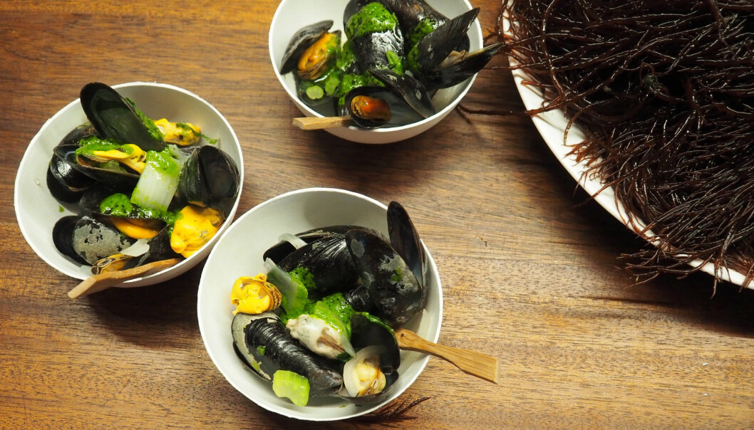 Mussel served with seaweed pesto and a side of Arame seaweed, by pioneering Seaweed chef Donald Deschagt, Ostend, Belgium for Seagriculture 2019 dinner. Mussel served with seaweed pesto and a side of Arame seaweed, by pioneering Seaweed chef Donald Deschagt, Ostend, Belgium for Seagriculture 2019 dinner.