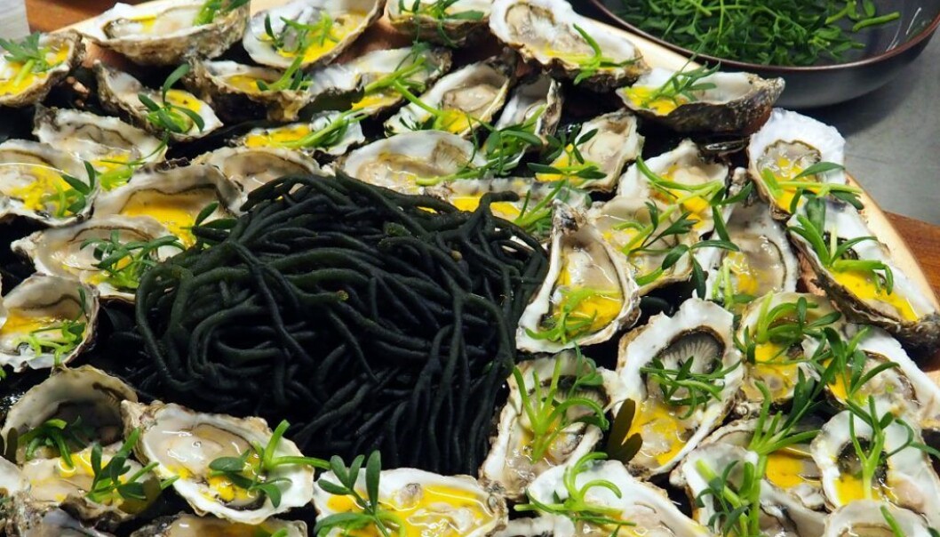 Oysters with seabuckthorn and sea fennel. Oysters with seabuckthorn and sea fennel.