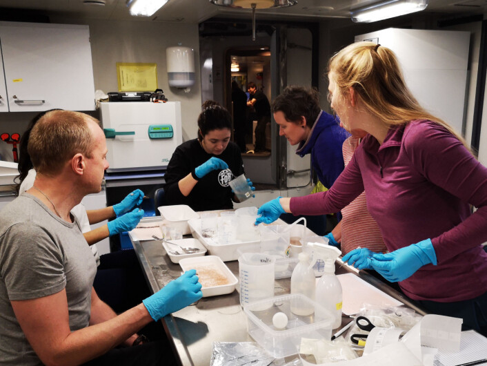Action in the zooplankton lab after net samples have come on board. Sorting to species and groups and freezing material for later analyses, for instance of energy content and organic pollutants. Action in the zooplankton lab after net samples have come on board. Sorting to species and groups and freezing material for later analyses, for instance of energy content and organic pollutants.
