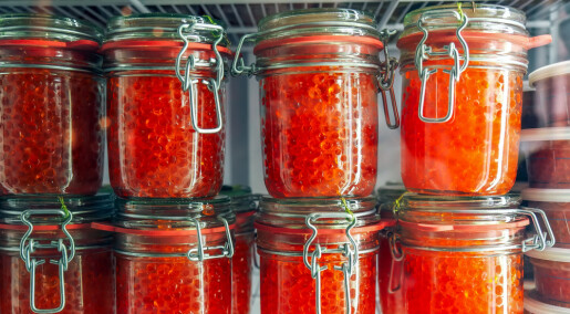 How to make your own luxury caviar