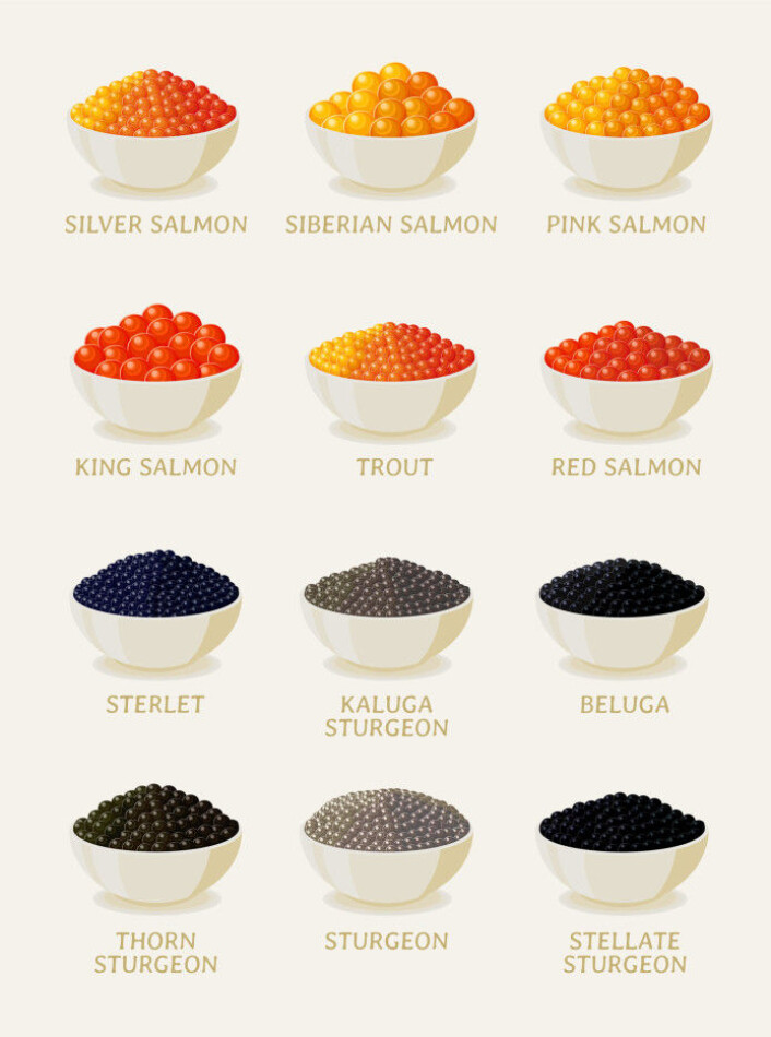 Different species have different roe. Here are some different types of roe from members of the salmoninds and sturgeons. Different species have different roe. Here are some different types of roe from members of the salmoninds and sturgeons.