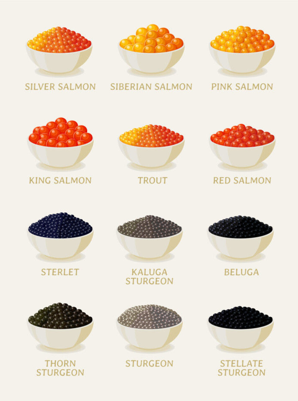 Different species have different roe. Here are some different types of roe from members of the salmoninds and sturgeons.
