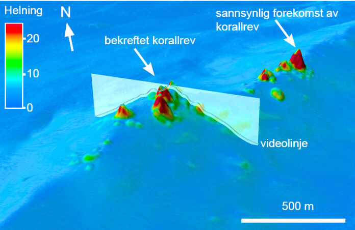 This is what it looks like when scientists find coral reefs in the deep sea off the coast of Norway. About half of the 200,000 occurrences that were detected are considered to be highly reliable. The arrows in the pohoto read "confirmed coral reef" and "probable coral reef". This is what it looks like when scientists find coral reefs in the deep sea off the coast of Norway. About half of the 200,000 occurrences that were detected are considered to be highly reliable. The arrows in the pohoto read "confirmed coral reef" and "probable coral reef".
