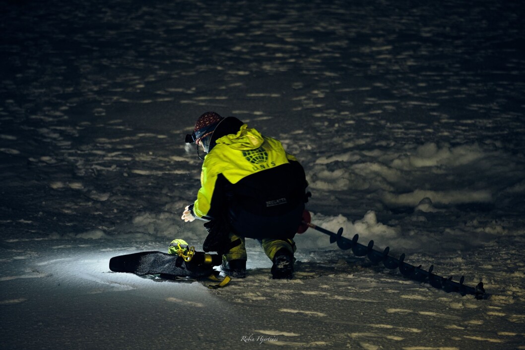 Drilling sea ice cores in complete darkness. Drilling sea ice cores in complete darkness.