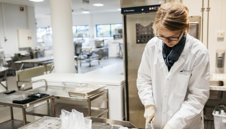 Tone Mari Rode is a researcher at Nofima. She investigates how different packaging methods and different ways of processing the fish can extend the shelf life of soaked stockfish, dried fish and klippfisk.