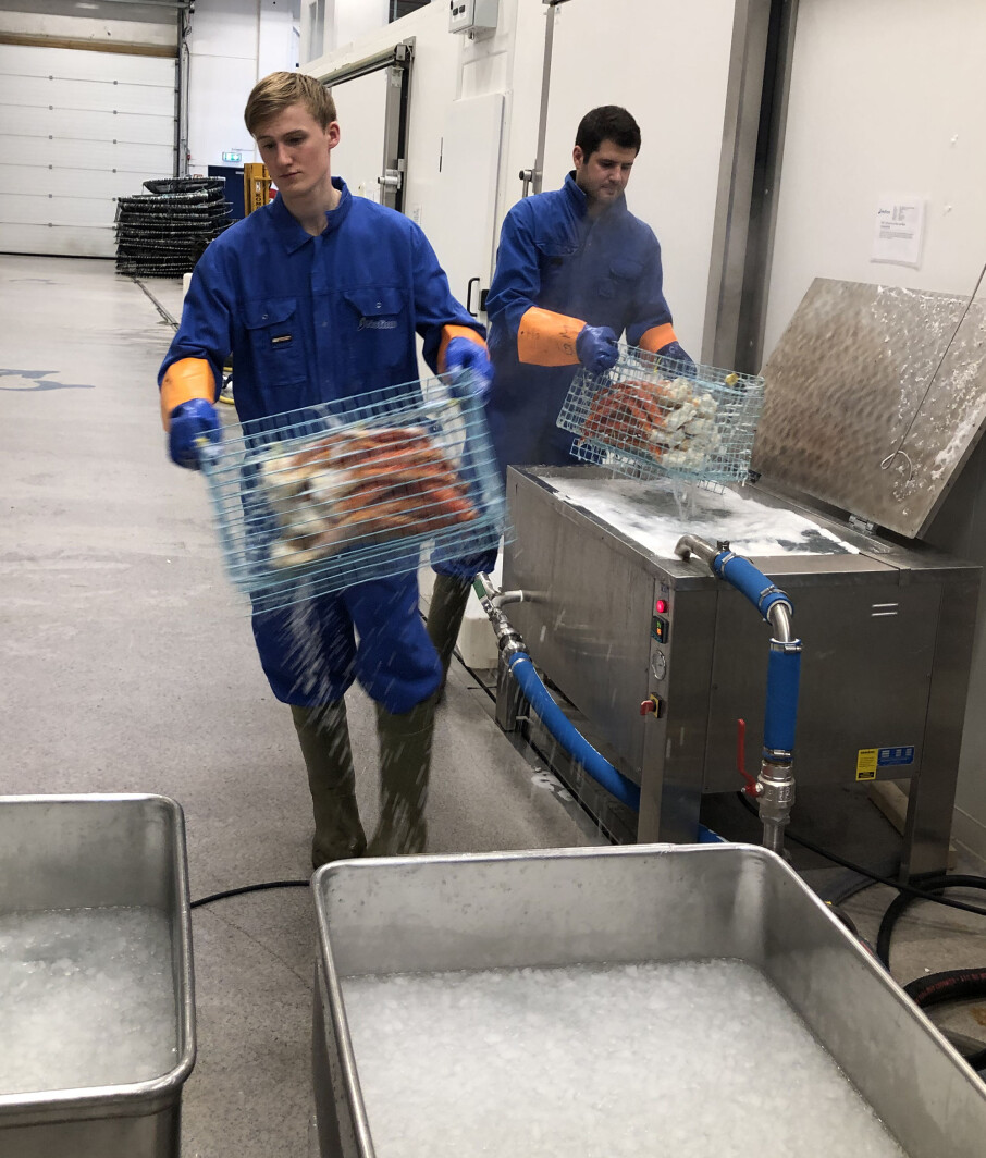 Master student Øyvind Jøstensen and I cooking crabs. Here they are about to be cooled in ice water.
