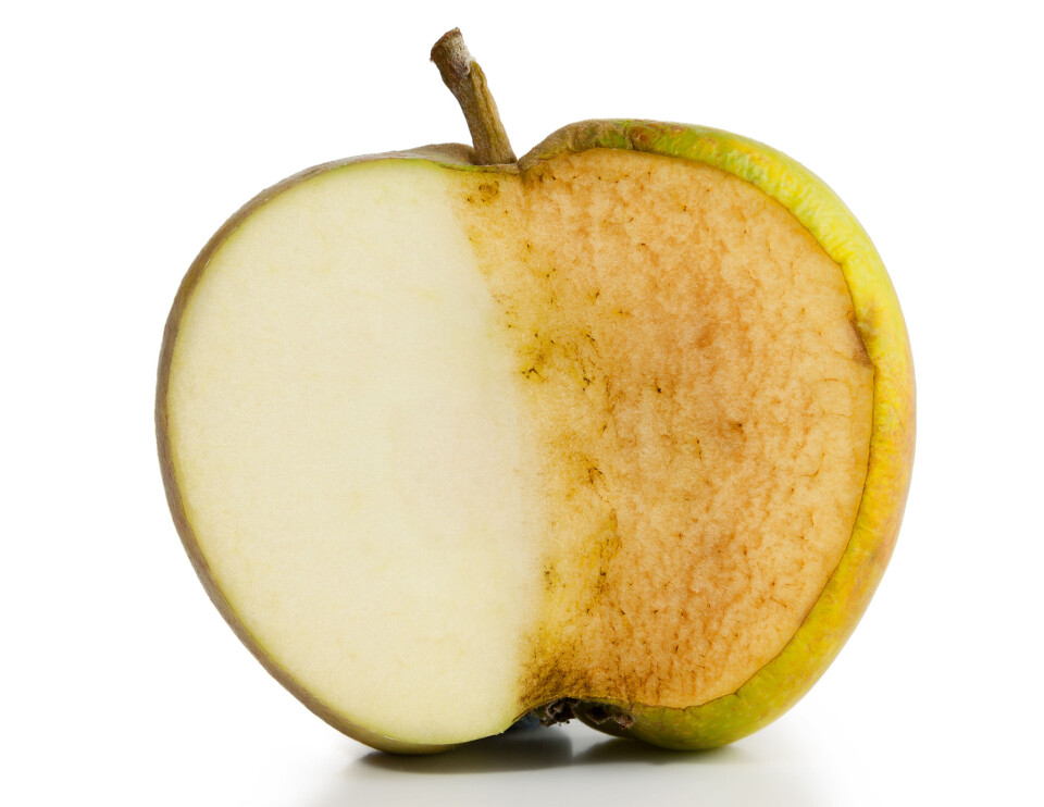 The same enzyme that causes apples to turn brown, causes black spots on snow crabs.