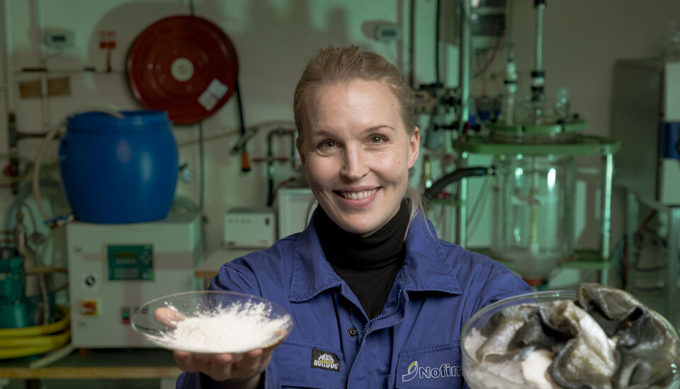 The collagen market is about to grow even bigger, now that Kjersti Lian and her team can extract this protein from several new species.