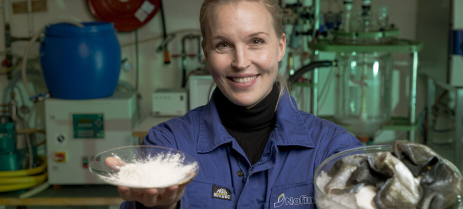 Collagen extracted from fish – better for the climate, suitable for vegetarians