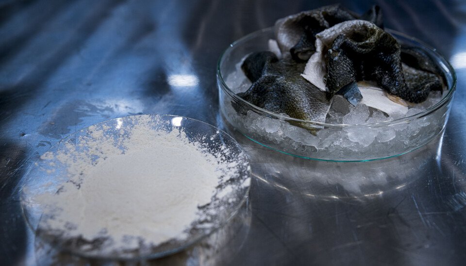 Fish skin is rich in collagen. The process must be tailored to each individual species to extract high-quality protein powder.