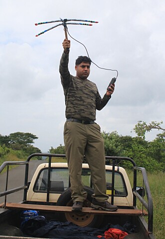 Researcher Arjun Gopalaswamy, pictured during field work, finds it very unlikely that the number of tigers has increased in the way the Indian government claims. Researcher Arjun Gopalaswamy, pictured during field work, finds it very unlikely that the number of tigers has increased in the way the Indian government claims.