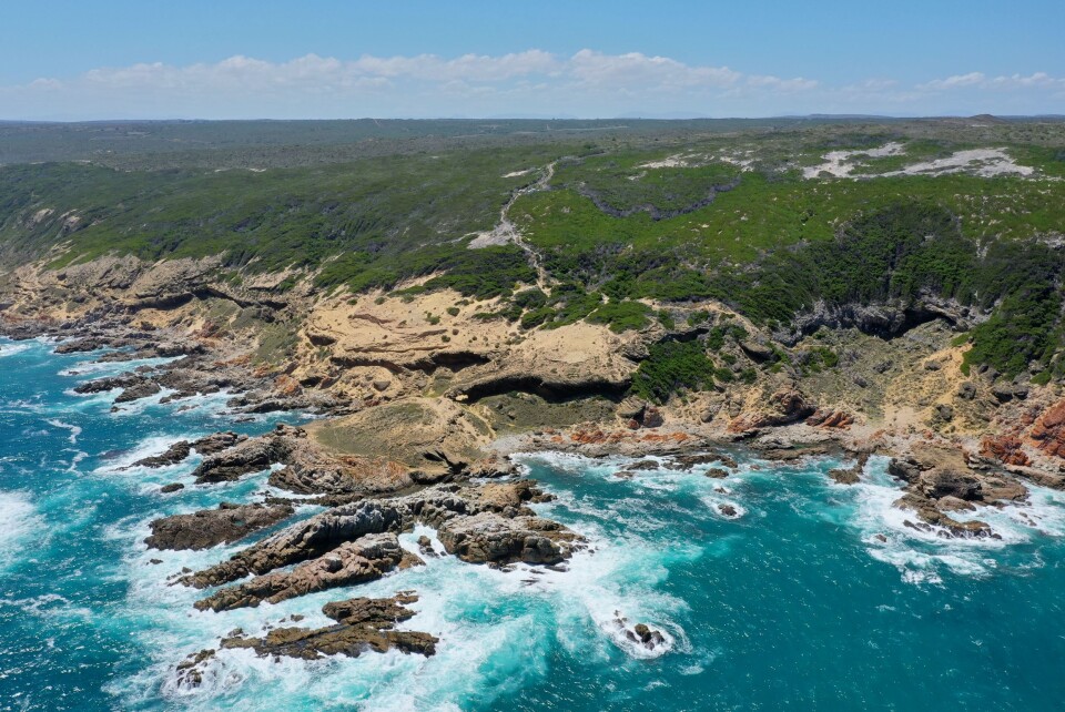 Blombos cave is located 100 metres inland from the coast and 35 metres above sea level at the foot of a cliff in the spectacular rocky landscape at Still Bay near Cape Town.