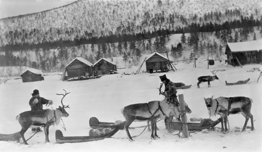 Transportation of goods, and distinguished persons, occurred with reindeer and sleds in winter.