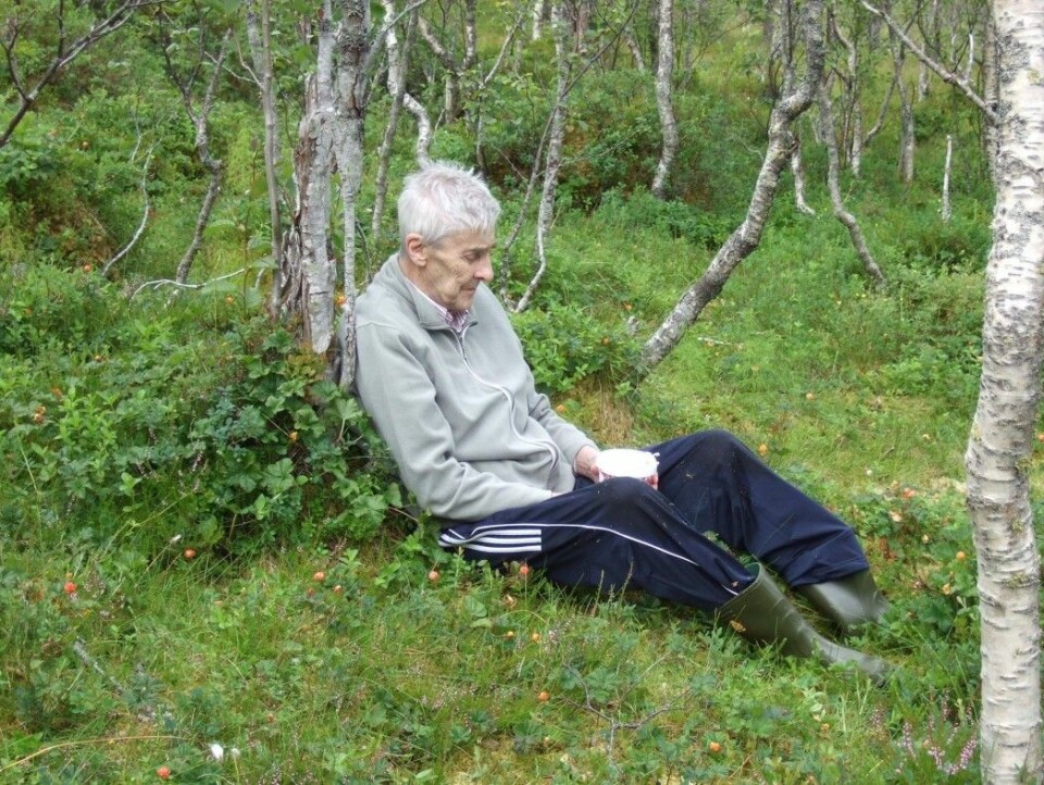 Researchers say that older people in two northern Norwegian municipalities have strong memories of farming, fishing, berry picking and animal husbandry in the mountains. They want to get out into nature again, but need help from others.