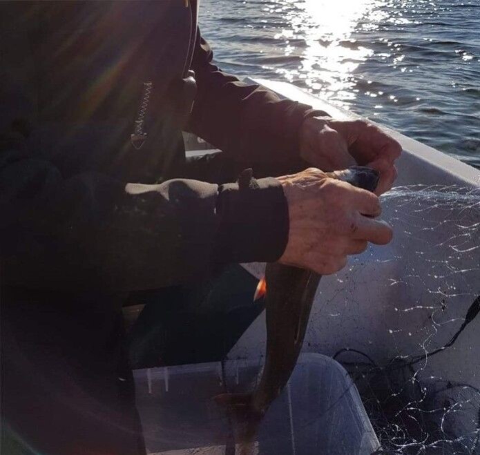 Tana municipality has hired an activity coordinator who takes older people out and offers them activities that have been important in their lives, such as fishing. Tana municipality has hired an activity coordinator who takes older people out and offers them activities that have been important in their lives, such as fishing.