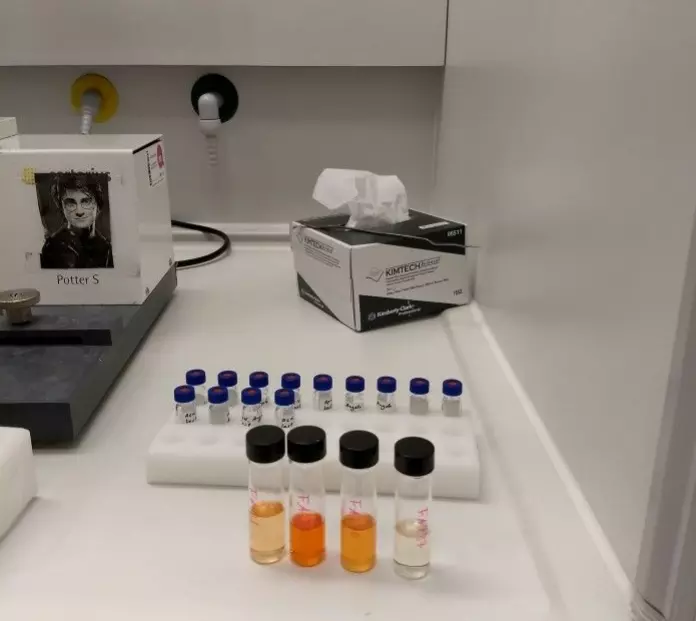 Lipid extracts from different sources and in different concentrations