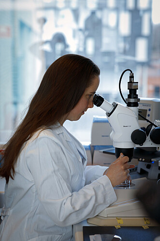 Wietske van der Ent, Postdoc in the Esguerra group. Wietske van der Ent, Postdoc in the Esguerra group.