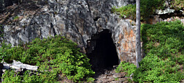 The Kongsberg mines are famous for their beautiful native silver. Researcher now claims they may also be full of gold.