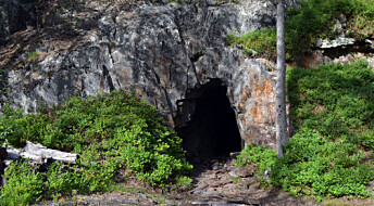 The Kongsberg mines are famous for their beautiful native silver. Researcher now claims they may also be full of gold.