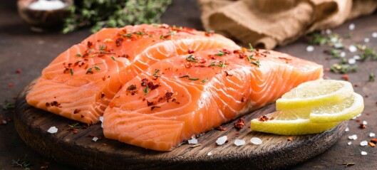 Norwegian salmon is a huge success story – but could it get even bigger?