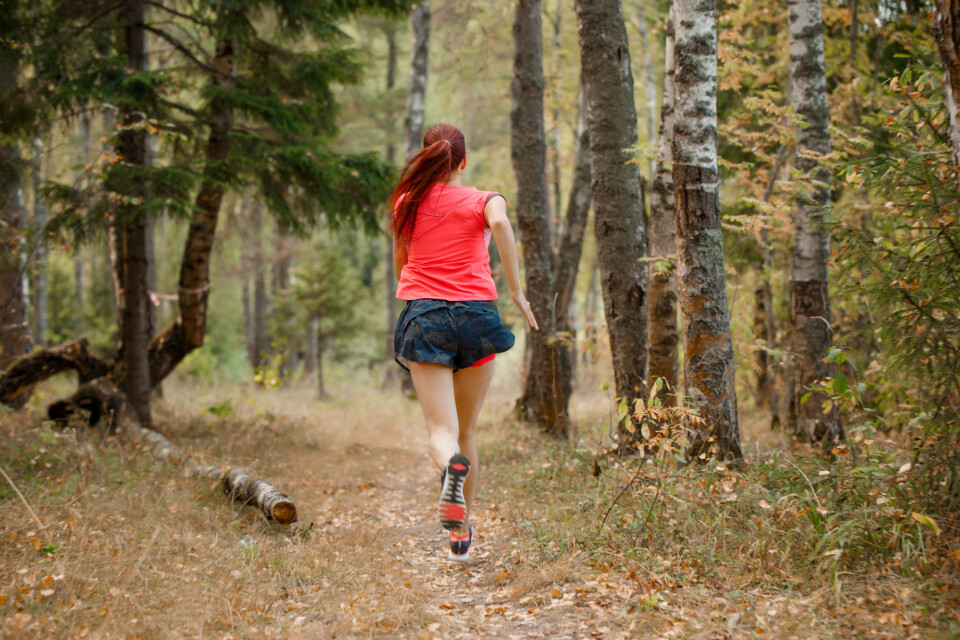 The fitness score that the Fitness Calculator estimates for you provides a strong indicator for your life expectancy. The better shape you’re in, the lower the risk of premature death.