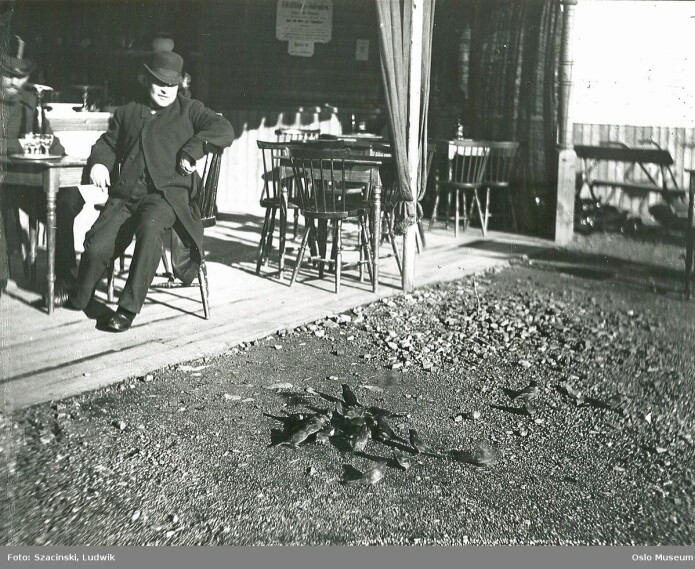 Painter Wilhelm Krogh looks at the birds at Tullinløkka in Oslo in 1883. Painter Wilhelm Krogh looks at the birds at Tullinløkka in Oslo in 1883.