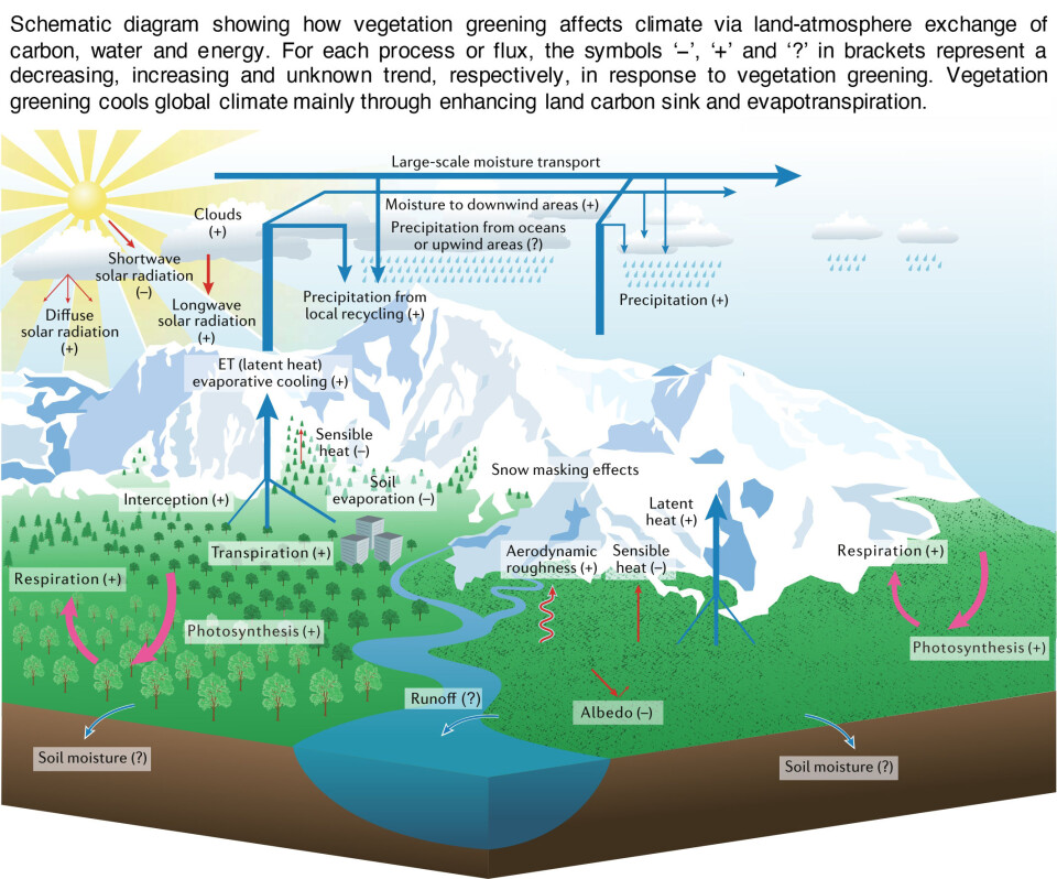 Carbon emissions have made the world a greener place, which has a cooling effect – but it’s not enough