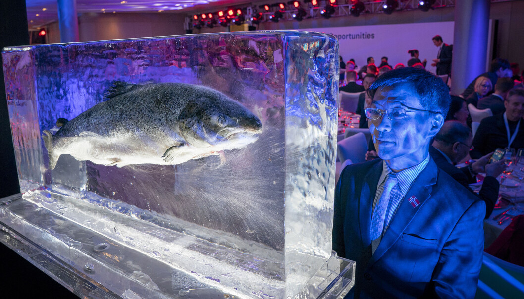 For Norway, the trade agreements mean that we can export products that we have in abundance, such as fish and various metals, without these being considered too expensive for consumers in other countries. For Norway, the trade agreements mean that we can export products that we have in abundance, such as fish and various metals, without these being considered too expensive for consumers in other countries.