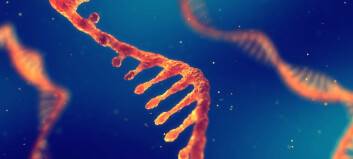 RNA: Scientists have discovered a new layer in the genetic code of life